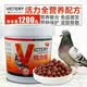 VICTERY汉诺威鸽药鸽力旺1200丸育雏宝丸幼鸽补体发育换羽种赛鸽营养鸽药 一桶
