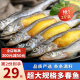 海宏盈 满籽多春鱼 特大多籽鱼鱼子海鲜鱼类生鲜烧烤食材 2斤装特大规格15-17厘米