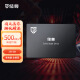 储尊 SSD固态硬盘 SATA3.0 接口CS101电脑升级500MB/s 256G