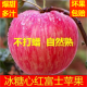 红富士苹果冰糖心丑苹果正宗山西运城时令生鲜脆甜苹果新年年货 9.5-10斤【甄选优果】