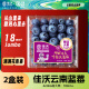 佳沃（joyvio）云南当季蓝莓大果18mm+ 2盒装 约125g/盒 新鲜水果