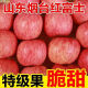 山东烟台红富士苹果新鲜水果 富士苹果应当季脆甜水果 75mm(含)-80mm(不含) 中大果 9斤（净重8.5）