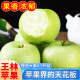 望果仙正宗山东王林苹果水果青苹果整箱批发水果礼盒净重4.5斤单果85mm+