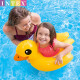 INTEX儿童游泳圈2-6岁腋下动物浮圈宝宝泳圈玩具 图案随机 59220
