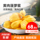 【需催熟】海南黄肉菠萝蜜一整个 热带新鲜水果波罗蜜生鲜 单个30-35斤