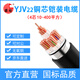 国超电缆YJV22-0.6/1KV-4*16铜芯国标铠装户外地埋防老化4芯电力电缆 1米【现货】