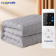 环鼎水暖电热毯水暖褥子双人床垫自动断电家用高档调温 1.8*2.0米