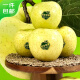 京鲜生 绿王林苹果礼盒 10粒装 果径75mm 新鲜水果 源头直发包邮