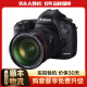 佳能Canon 5D4 6D2 5D3 5D2 6D 二手全画幅单反相机 专业级4K高清旅游数码相机 5D3（24-105mm F4套机） 标配 99成新