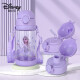 迪士尼（Disney）儿童水杯双盖两用宝宝吸管杯夏季学饮杯学生户外杯子 520ML冰雪
