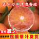 正宗玫瑰香橙手剥当季新鲜水果重庆塔罗科血橙红心红肉中华血橙子 5斤 60mm-65mm（正宗玫瑰香橙）