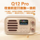 乐果（NOGO） Q12Pro便携插卡蓝牙音箱音响儿童学习机彩色显示屏收音机多功能MP3音乐播放器 奶咖色 Q12Pro标配无卡