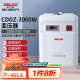 德力西电气变压器电压转换器美日3000W 220V转110V/100V