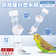 智宙 宠物鹦鹉撞针饮水器自动喂水器水壶玄风鸟类食盒喂食喝水器防贱 中小号撞针饮水机【约270ML】