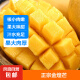 【热销爆品】海南金煌芒果新鲜水果芒果 带箱10斤大果