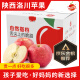自然搭档 陕西洛川苹果红富士糖心苹果脆甜多汁 新鲜水果礼盒 5斤装（净重4.5-5斤 单果170g+）