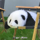 熊猫工厂3月龄熊猫基地和花仿真熊猫玩偶情人节礼物可爱儿童毛绒玩具公仔 3月龄熊猫基地和花 硅凝胶款 长42*宽38*高18
