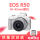 佳能全新 佳能EOS R50 微单相机 防抖视频vlog高清相机 佳能r50国际版 白色R50机器+RF18-45镜头 标配+128G卡+包+备用原装电池