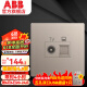ABB开关插座面板 轩致系列 无框86型墙壁金色弱电插座 电视+6类电脑