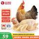 天农 纯种清远鸡整鸡肉 900g 供港母鸡麻鸡土鸡生鲜 冷冻 散养走地鸡
