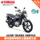 YAMAHA雅马哈摩托车天剑YBR150Z动力版街车全新整车JYM150-8跑车YAMAHA 天剑YBR150Z/皓月灰/前碟后鼓刹