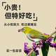普欣诺绣眼鸟食秀眼专用饲料鸟粮小颗粒提性大唱壮膘换毛亮羽营养手工料 500g 1袋