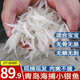 鲜拔头筹 青岛新鲜大银鱼 鲜活捕捞面条鱼小鱼银鱼干 海鲜水产 小银鱼1000g