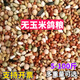 新鸽子粮20斤营养有玉米无玉米鸽粮鸽子饲料信鸽成幼鸽观赏鸽5斤 无玉米鸽粮 20斤