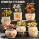 仟尚亿多肉花盆陶瓷个性简约室内植物创意粗陶花盆栽花盆透气大口径组合 好物组合6个 热销榜第一