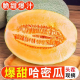海南哈密瓜5/9斤当季新鲜水果整箱现摘网纹瓜老汉瓜西州蜜非新疆 3斤