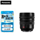松下（Panasonic）16-35mm F4 全画幅微单/单电相机镜头 广角变焦镜头 恒定光圈 星空风景建筑拍摄 L卡口 S-R1635GK