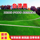 誉满园 草籽草坪种子四季青免修剪狗牙根护坡固土绿化草皮高羊茅黑麦草 台湾青草种矮生1斤