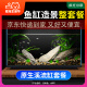疯狂水草溪流石溪流底沙溪流缸生态鱼缸造景全套适合米家鱼缸造景套餐一体