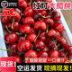 现货山东红灯大樱桃露天酸甜樱桃新鲜水果国产车厘子当季孕妇现摘 2斤(净重)  2斤 中大果
