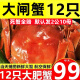 【活蟹次日达】精品大闸蟹鲜活12只2公10母足斤足两螃蟹河蟹礼盒 2公10母公2.0-2.3两 母1.4-1.7两