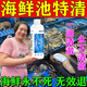 海鲜池净水剂鱼缸水产消毒杀菌黄水浑水泡沫去除剂净化水质稳定剂 1瓶【海鲜池净水】