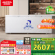 澳柯玛（AUCMA）737升家用大容量冰柜 卧式大冰箱 冷藏冷冻单温冷柜 商超雪糕柜 一级能效 BC/BD-737TC 国家补贴