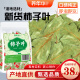 养年华柿子叶500克（100包）柿子叶茶粉降中药材原料霜后泡煮水血压茶