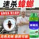 亿之康.追风蟑螂药餐厅专用饭店酒店灭蟑螂杀虫剂商用大面积消杀一全窝端家用 饭店厨房专用1瓶无味