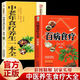 百病食疗大全正版彩图版家庭煲汤煮粥四季养生营养保健饮食调理书 【2本】百病食疗+中老年食疗养生一本全