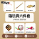 HOUYA猫玩具6件套自嗨解闷逗猫棒宠物小猫幼猫全套逗猫玩具