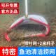全福鲤 鱼池加密捞网树叶垃圾清洁工具锦鲤鱼网捞鱼屎叶泥沙细小垃圾网 中国红捞叶网+2米伸缩杆