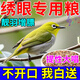绣眼鸟专用饲料暗绿提性促鸣大唱防水便壮膘收身换毛亮羽营养鸟粮 500g 1袋 【营养均衡】
