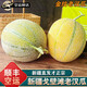 南步正宗新疆老汉瓜【顺丰空运】软糯哈密吐鲁番特产火焰蜜瓜新鲜水果 金纹老汉瓜 8-9斤【2枚装】空运
