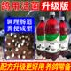 天驿鸿鸽活菌鸽子肠道调理赛信鸽保健用品益生菌鸽用活菌王大全 鸽活菌1000ml【1瓶装】