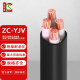 昆缆胜 电缆线ZC-YJV4*50平方 0.6/1KV阻燃国标4芯铜电缆 硬线1米