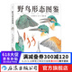 野鸟形态图鉴 鸟类图鉴野生动物自然观察博物学生物科普书籍  后浪