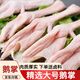 新鲜鹅掌冷冻仔鹅鹅爪鹅掌农家散养大白鹅鹅手卤味烧烤食材 精选大鹅爪4斤 【8个左右/斤】