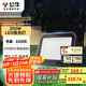 公牛（BULL）LED投光灯户外庭院工厂园林灯露营灯 IP65防水等级200W-6500K白光