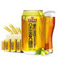 珠江啤酒（PEARL RIVER）24罐 珠江啤酒金麦穗330ml*24罐 10度珠江金麦穗啤酒整箱 330*共一箱 24罐